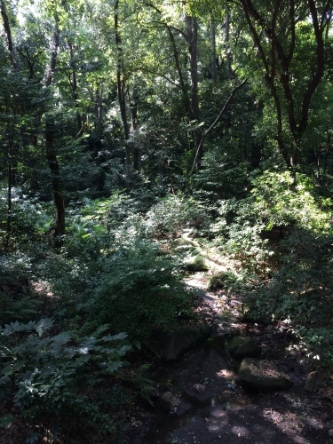 e0309501_18115944.jpg