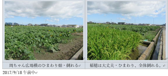 大型の台風18号・四国を縦断（愛媛県、今治・西条）…2017/9/18_f0231709_02575021.png