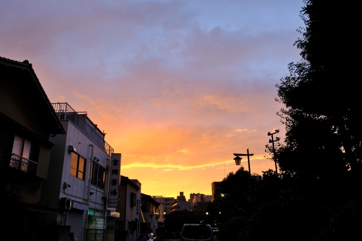 東京散歩 亀戸~門前仲町_e0000910_10322599.jpg