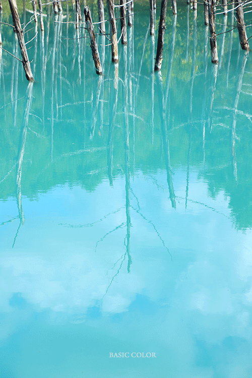 c0345215_20442525.gif