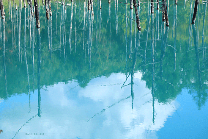 c0345215_20442805.gif