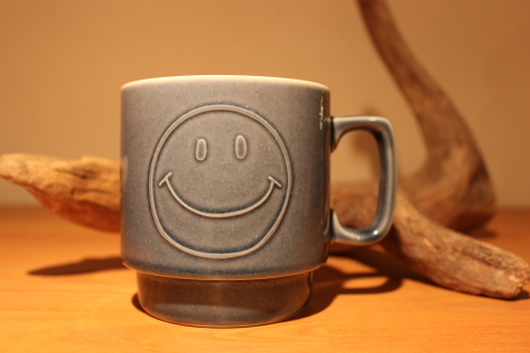 JACKSON MATISSE 重厚感のある \"MUG\" ご紹介_f0191324_07301010.jpg
