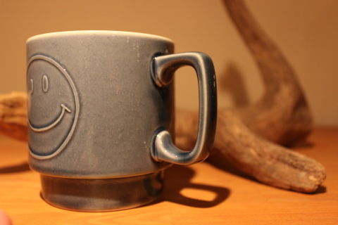 JACKSON MATISSE 重厚感のある \"MUG\" ご紹介_f0191324_07303479.jpg
