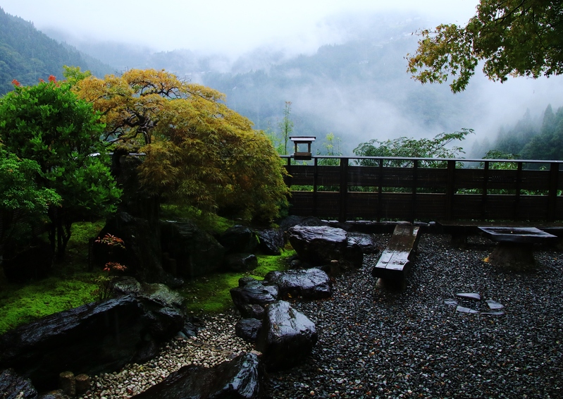 徳島県　かずら橋_f0363125_20584882.jpg