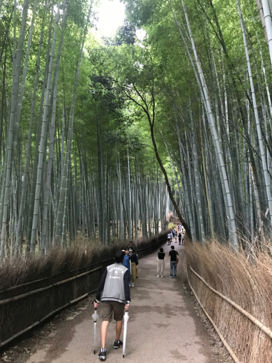 京都〜大阪家族旅行2017/9/17-9/18 1_a0089331_21390762.jpg