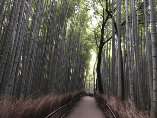 京都〜大阪家族旅行2017/9/17-9/18 1_a0089331_21390775.jpg