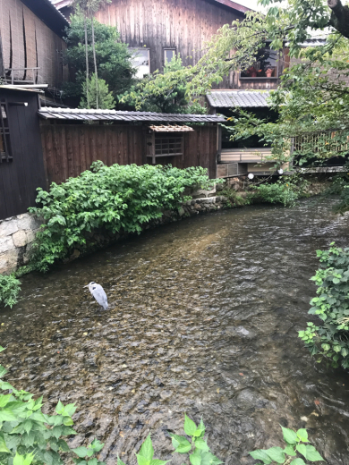 京都〜大阪家族旅行2017/9/17-9/18 1_a0089331_21481222.jpg