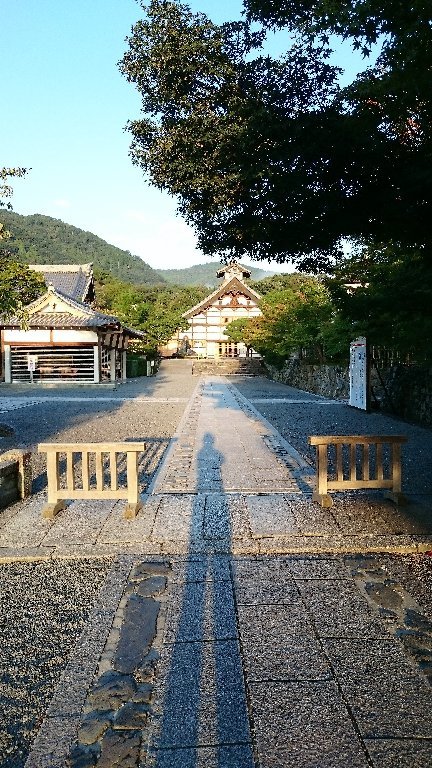 c0355331_15462893.jpg
