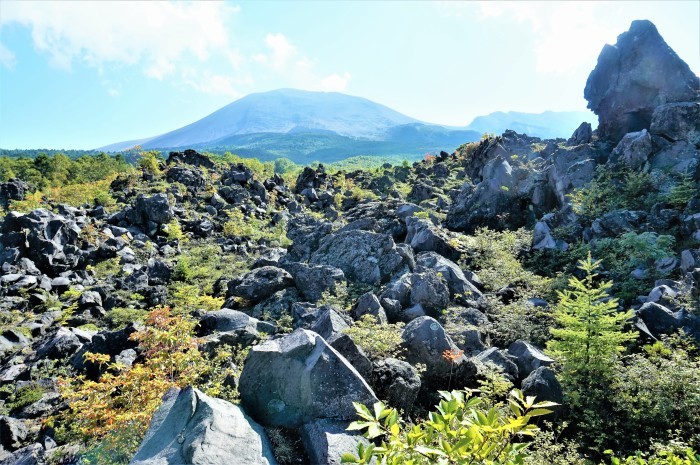 f0238932_15323971.jpg