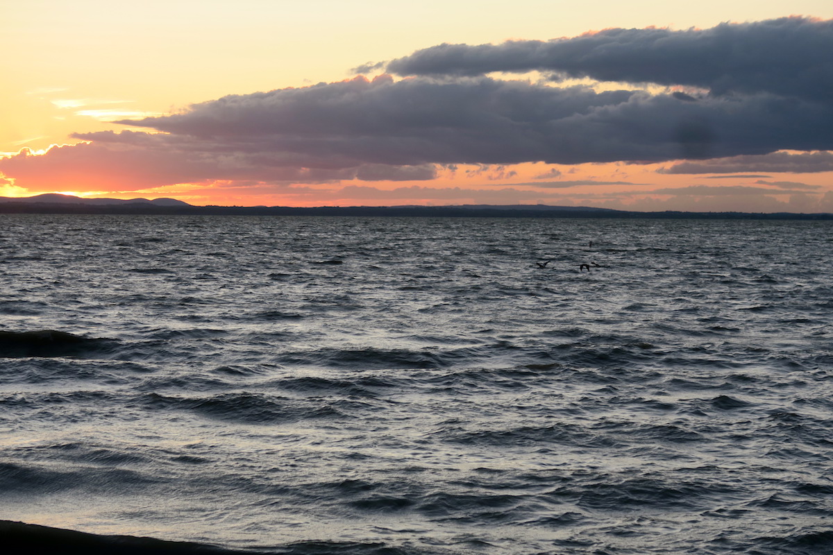 夕焼けの湖を飛ぶフラミンゴ、イタリア トラジメーノ湖_f0234936_6111950.jpg