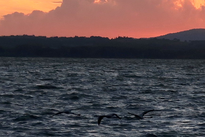 夕焼けの湖を飛ぶフラミンゴ、イタリア トラジメーノ湖_f0234936_618474.jpg