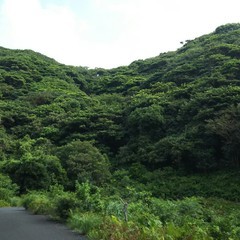 c0077338_06080983.jpg