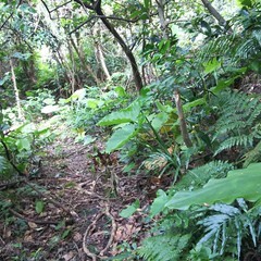 c0077338_06084527.jpg