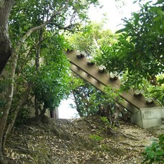 c0077338_06104290.jpg