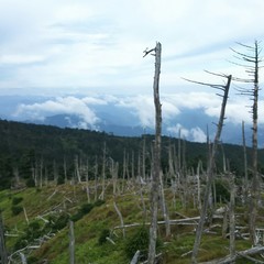 奈良県　日本１００名山　八経ケ岳（１９１４ｍ）_c0077338_06380339.jpg