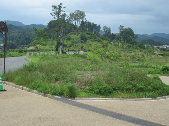 檜隈寺跡は天皇の宮跡_a0237545_22221542.jpg