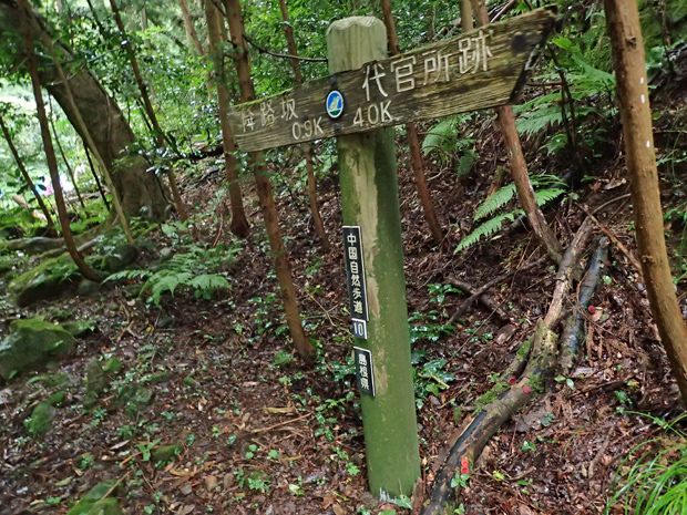 f0214649_04424738.jpg