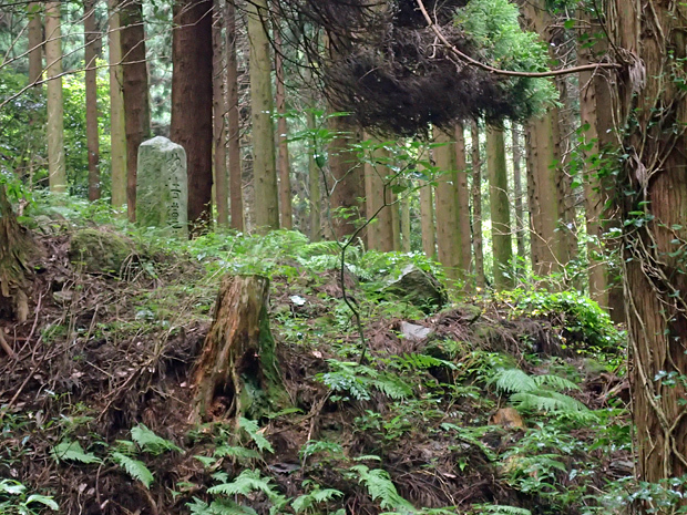 f0214649_04510909.jpg