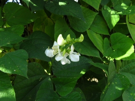 a0018655_14265405.jpg