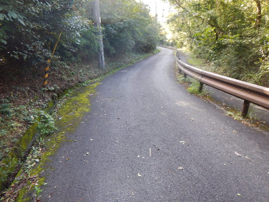 d0231858_17413695.jpg