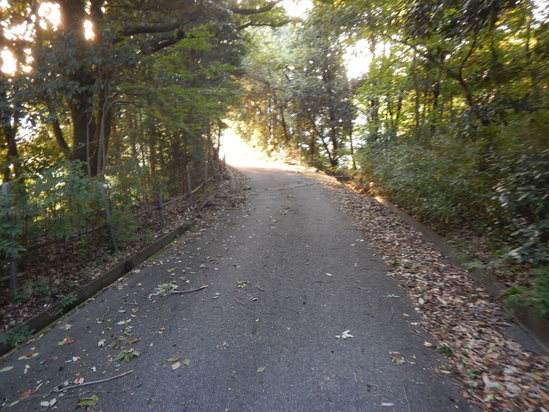 d0231858_22465589.jpg