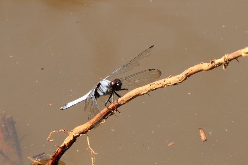 a0248459_15051251.jpg