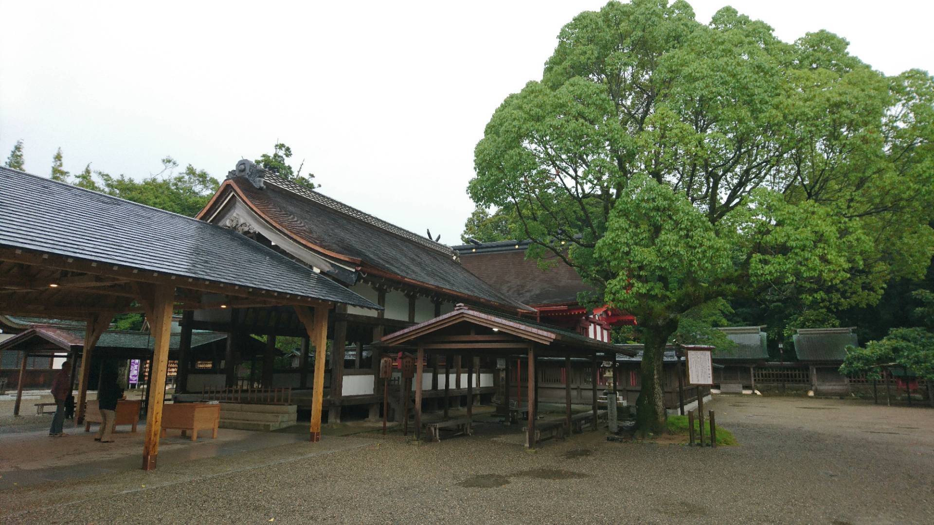 c0002171_6563260.jpg