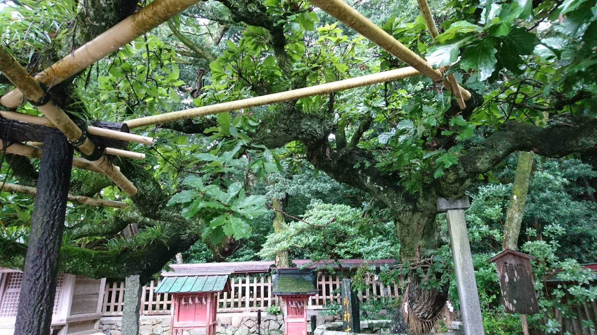 c0002171_6565862.jpg