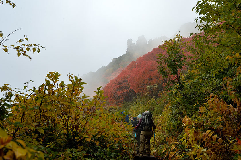 大雪山紅葉の旅　プチ縦走（前編）　2017/09/16_f0109977_03425777.jpg