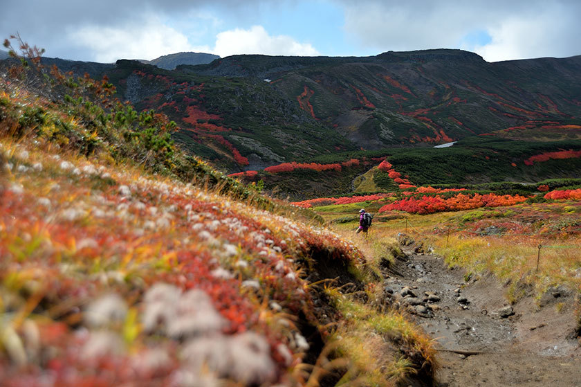 大雪山紅葉の旅　プチ縦走（前編）　2017/09/16_f0109977_04575484.jpg