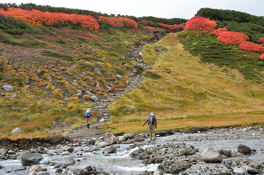 大雪山紅葉の旅　プチ縦走（前編）　2017/09/16_f0109977_04592380.jpg