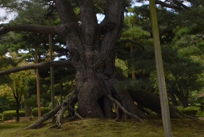 c0229483_2071941.jpg