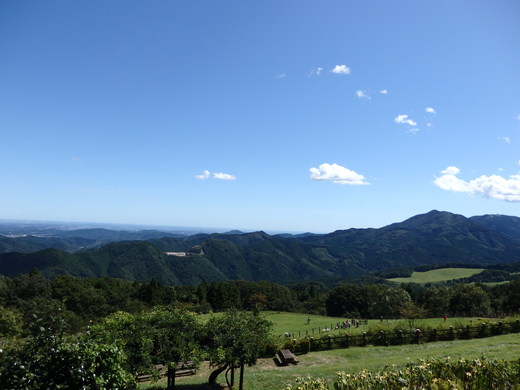 d0257690_2322287.jpg