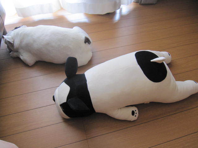 抱き枕って・・・_d0096499_10233636.jpg