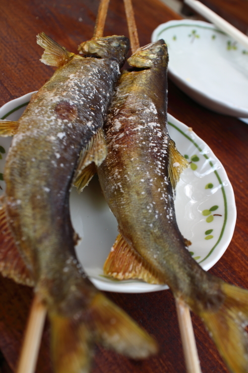 子持ち鮎が食べたくなり_e0174008_17421871.jpg