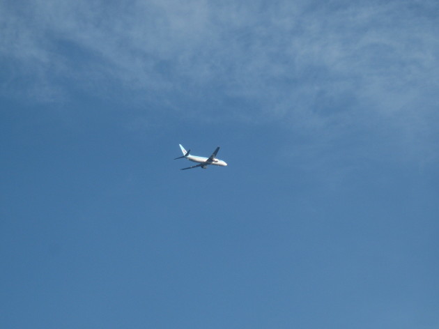 b0183111_08304655.jpg