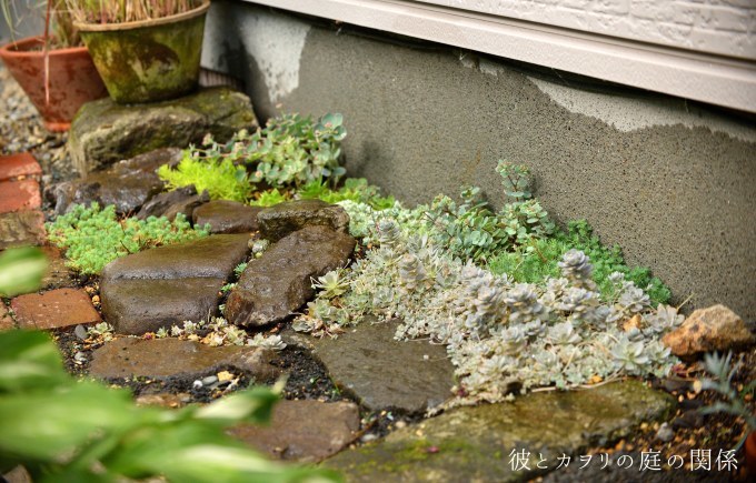 セダムの花壇 彼とカヲリの庭の関係