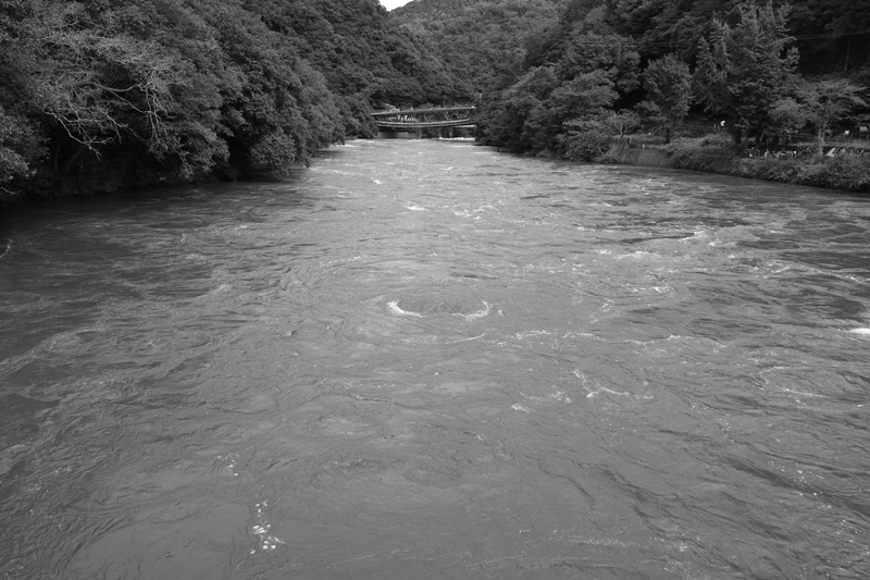 c0176622_16251319.jpg