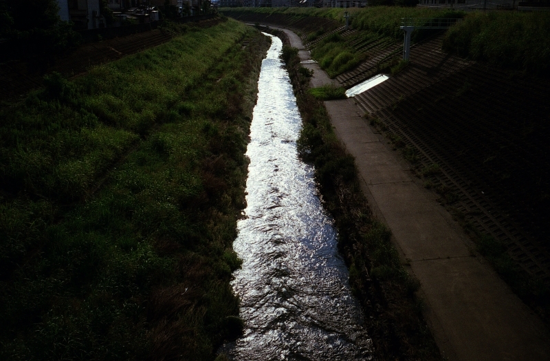 c0176622_16283589.jpg