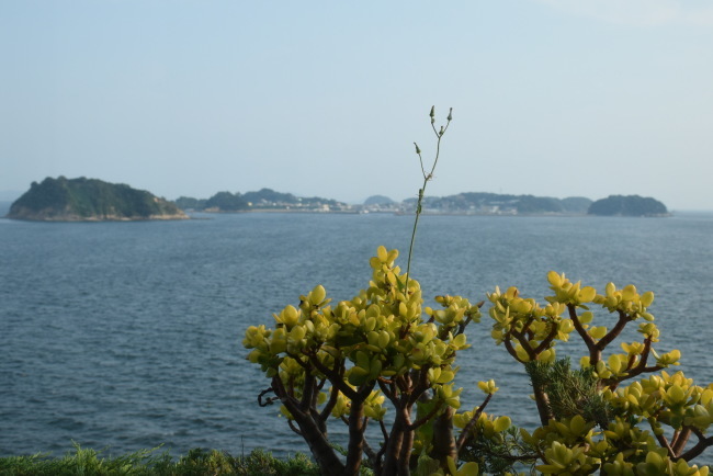 夏休み旅行|日間賀島へ行きました_a0284626_16051873.jpg