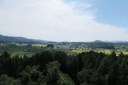 c0134734_00381430.jpg