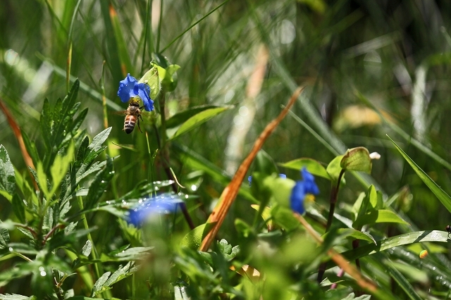 a0242438_21591142.jpg