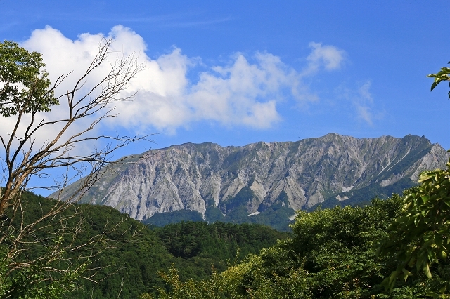 a0242438_22002336.jpg