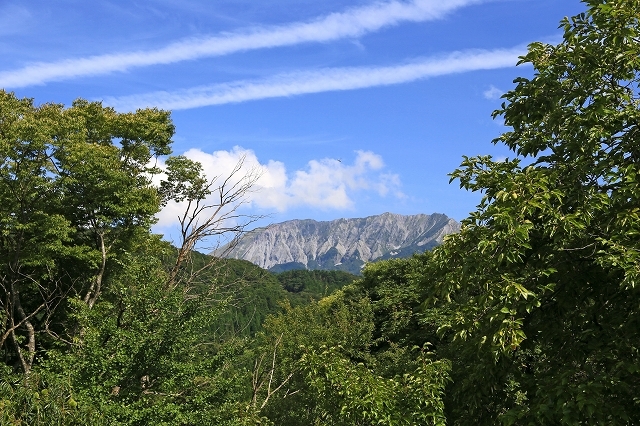 a0242438_22002364.jpg