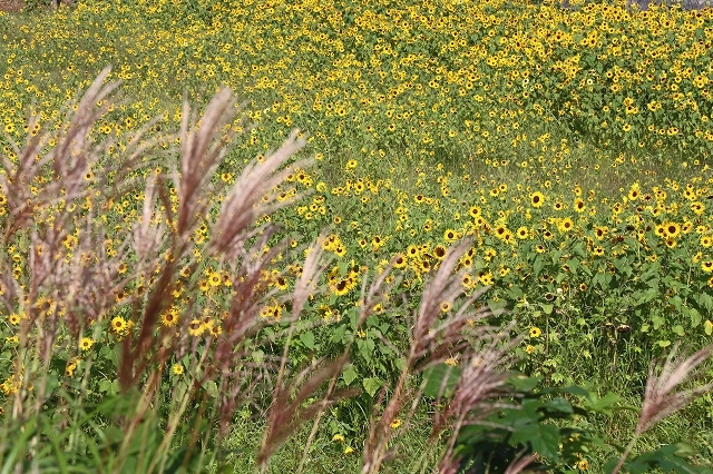 a0242438_22072250.jpg