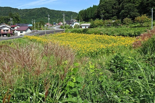 a0242438_22072273.jpg