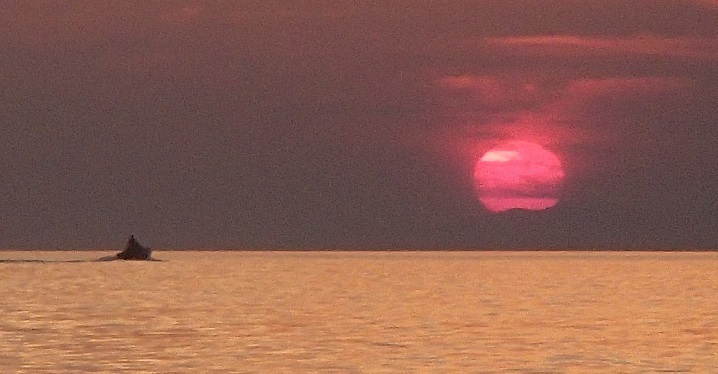 e0108765_21574244.jpg