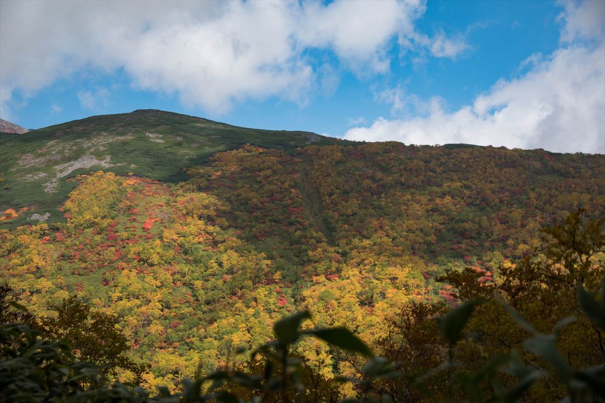 南沼泊でトムラウシ～紅葉を満喫～①_b0281366_13564067.jpg