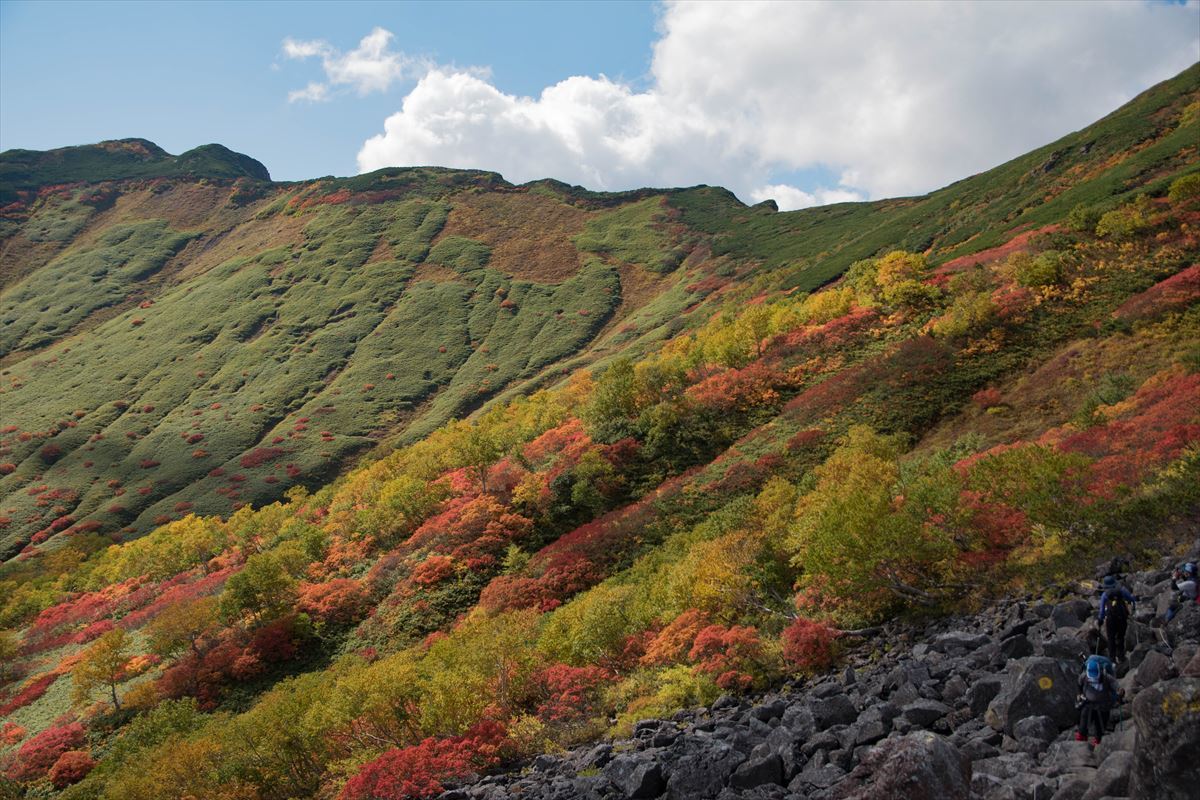 南沼泊でトムラウシ～紅葉を満喫～①_b0281366_13582296.jpg