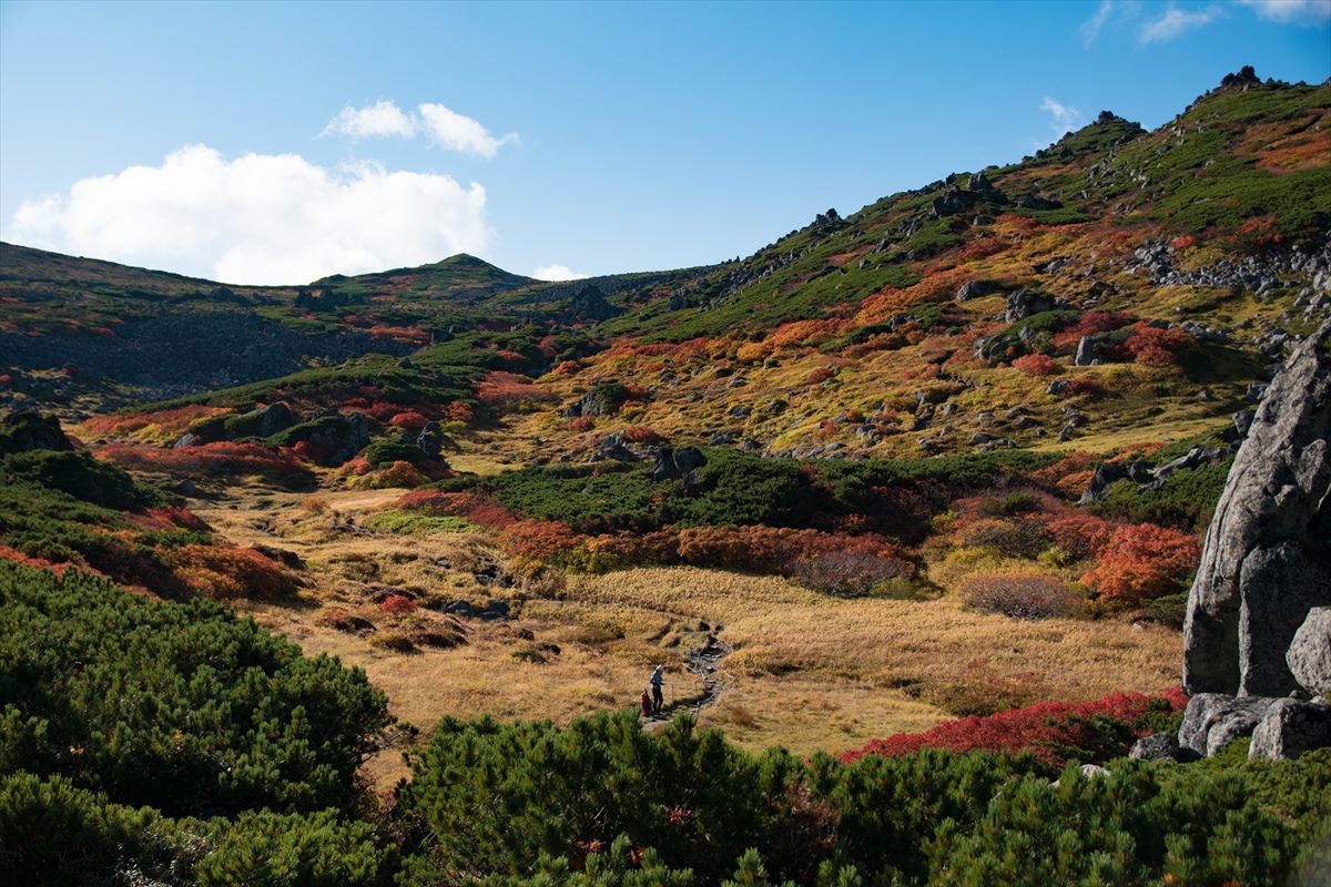 南沼泊でトムラウシ～紅葉を満喫～①_b0281366_14011935.jpg